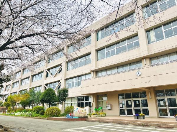 ӊ ywZzF767m߃shwZ