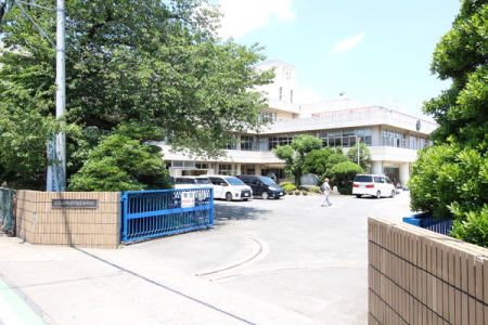 ӊ ywZzF1523mјCRpwZ