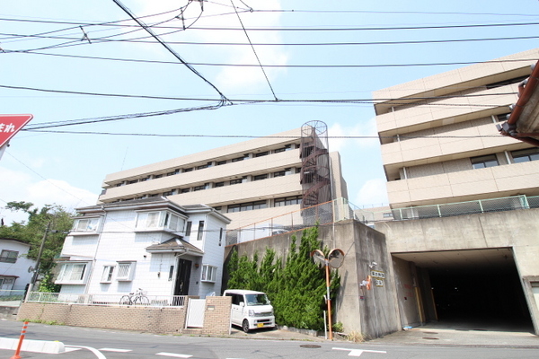 ӊ ya@zF500mvВc@lRtRta@