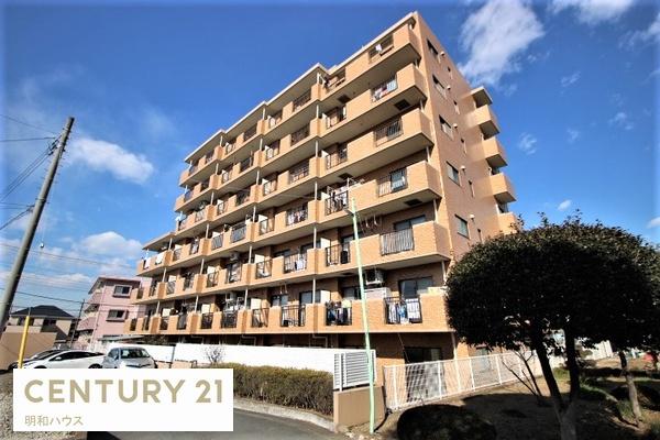 ̑n TJCi[ԉwŊyXʋ΁I