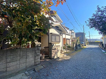 OʓH܂ތnʐ^ ǍD̗nI