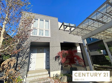 ���̑����n �������ȃp�[�S���o���R�j�[�I