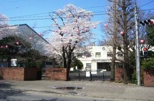 ӊ ywZzF950m߃Ps߃wZ