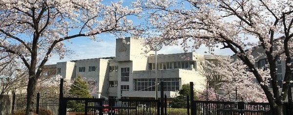 ӊ ywZzF1699mRsRwZ