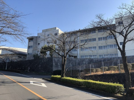 ӊ ywZzF1683mRsRwZ