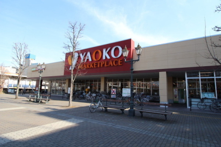 ӊ yX[p[zF1225mIR[twX