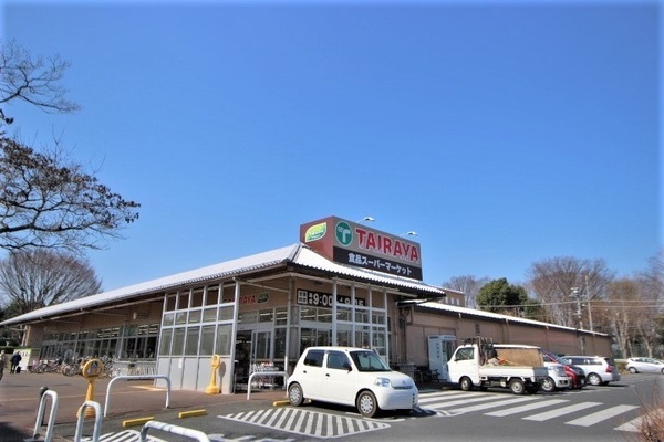 ӊ yX[p[zF1694mGRXTAIRAYAߓX