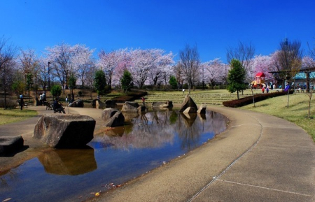 ӊ yctEۈ牀zF282mzЂ΂ct