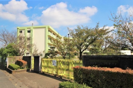 ӊ ywZzF1614mˎsH쒆wZ