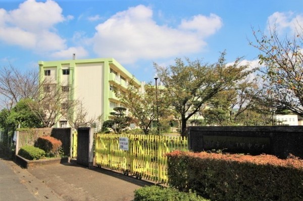 ӊ ywZzF1614mˎsH쒆wZ