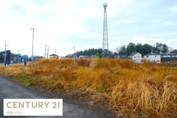 ���n�y�n�ʐ^ 1���E���D�݂̌��z���[�J�[�łǂ����I