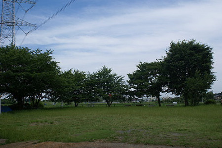 ���ӊ� �y�����z�F312m��Ռ���