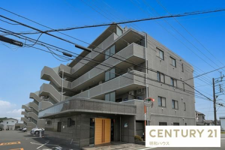 �߃����s���� 811-29�̒��Ã}���V����