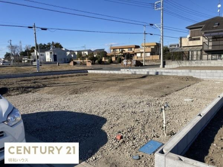 ���̑����n 5����