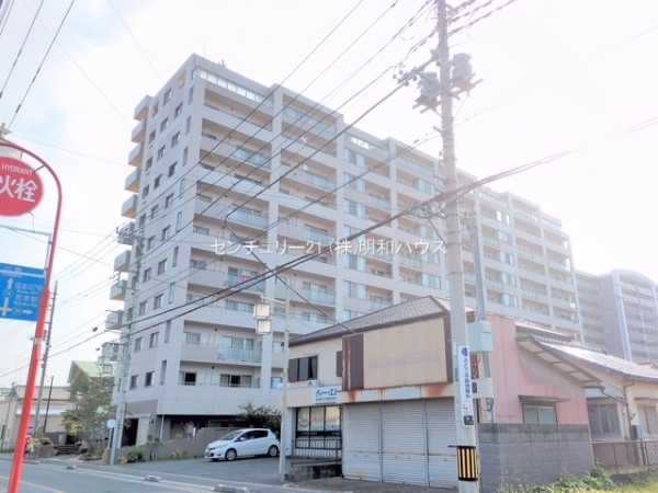 ���̑����n -