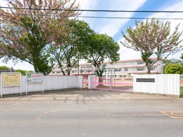 ���ӊ� �y���w�Z�z�F1800m��ˎs����Ə��w�Z