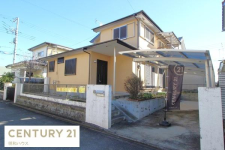 ���n�y�n�ʐ^ �l�C�̓����������t�w�k��20���I