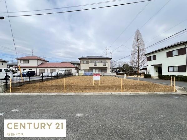 ���n�y�n�ʐ^ �s�s�K�X�E�{�������p��