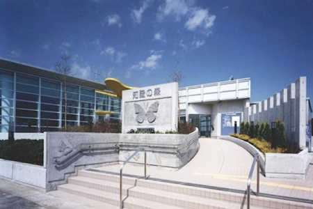 ���ӊ� �y�}���فz�F245m�m���̐X�@���R�����}����