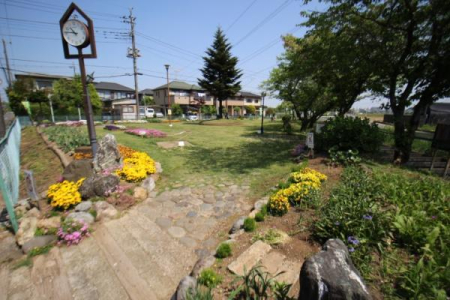 ���ӊ� �y�����z�F235m���݂̖؍L��