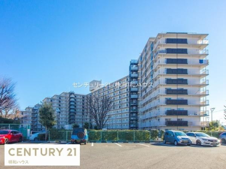 ���̑����n �����������ˉw�k��17���I