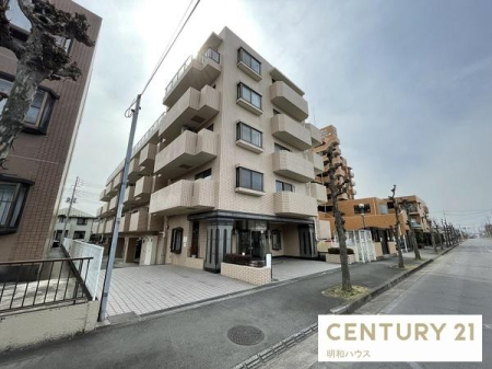 ���̑����n �����R�N�U���z�I