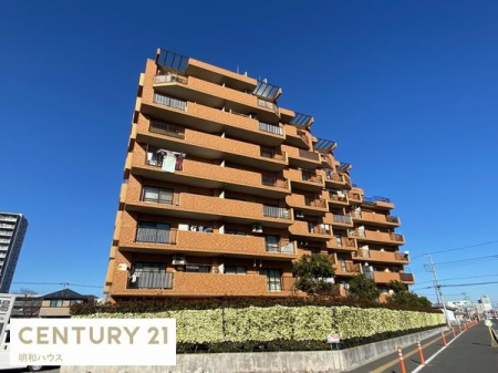 �߃����s���� 875-2�̒��Ã}���V����