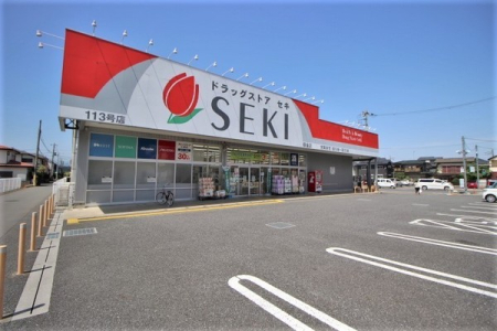 ���ӊ� �y�h���b�O�X�g�A�z�F256m�h���b�O�X�g�A�Z�L�����X