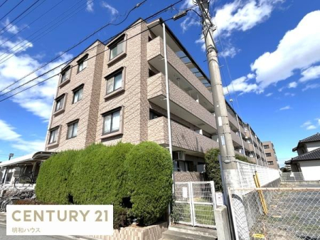 ���̑����n ��������Ńx���N����I�}�Ȕ�������OK�I