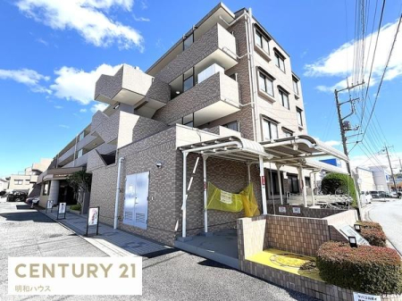 ���̑����n -