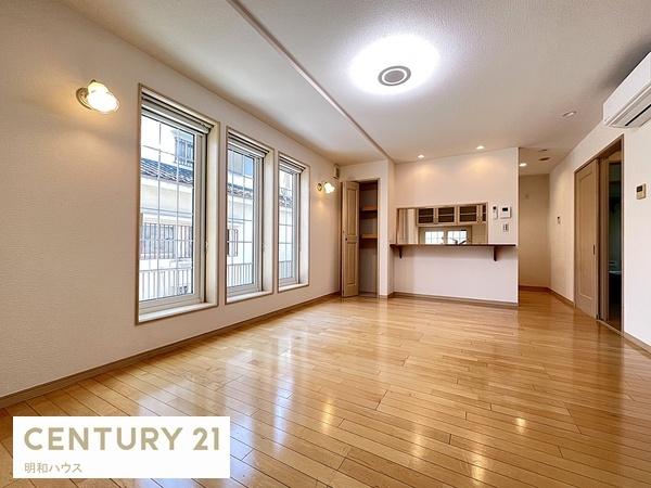 ���r���O �Ί�ň��A�I���r���O�C���K�i�I