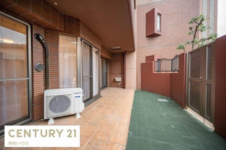 �� �e���X�E��p��t��