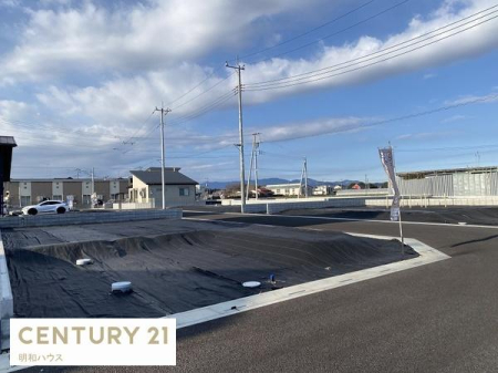 ���n�y�n�ʐ^ �Ԏ�ŔY��ł�����͂����k�������I