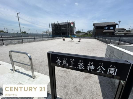 ���̑� �J������������I