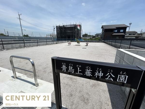 ���̑� �J������������I