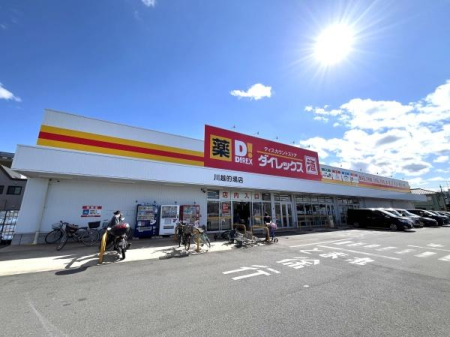 ���ӊ� �y�h���b�O�X�g�A�z�F400m�_�C���b�N�X��z�I��X