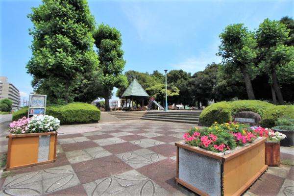 ���ӊ� �y�����z�F675m�x�m���쎙������