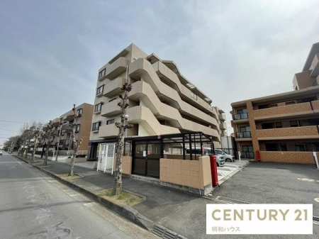 �߃����s�x�m��5���� 4-12�̒��Ã}���V����