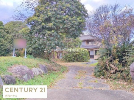 ���n�y�n�ʐ^ -