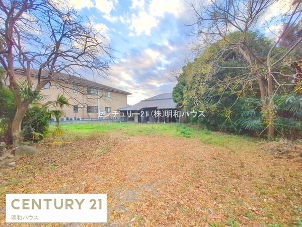 ���n�y�n�ʐ^ -