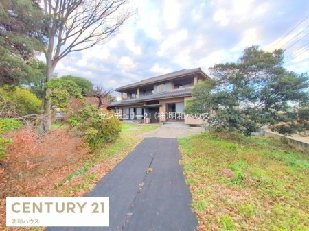 ���n�y�n�ʐ^ -