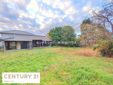 ���n�y�n�ʐ^ -