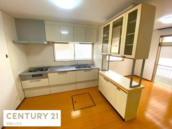 �L�b�`�� �������͂��ǂ�茳�̖��邢�L�b�`���I