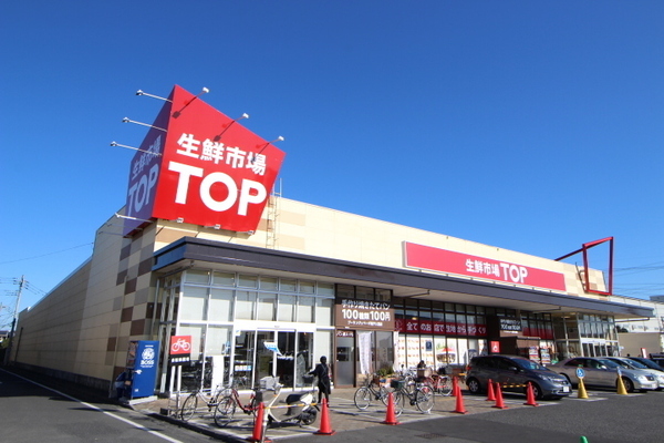 ӊ yX[p[zF1500m}~[}[gNsTOP˓X