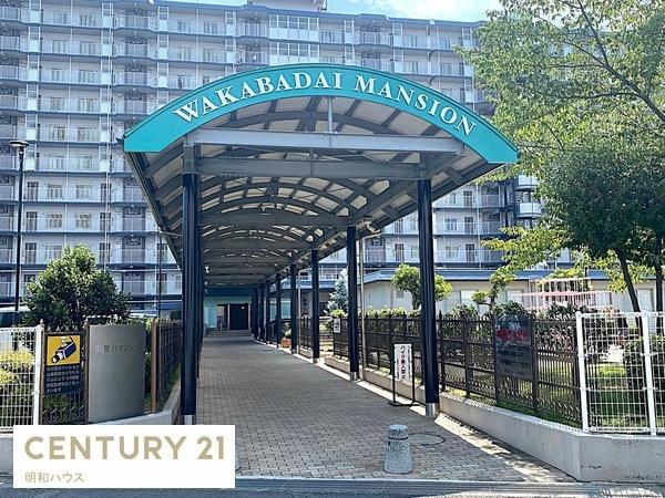 ̑n Ǘ̗̐ǂrbNR~jeBI