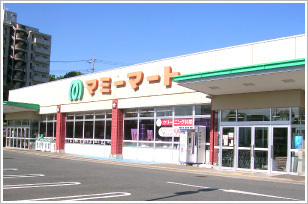 ӊ yX[p[zF650m}~[}[gX